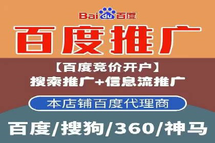 百度竞价代理技巧：经典成功案例解析